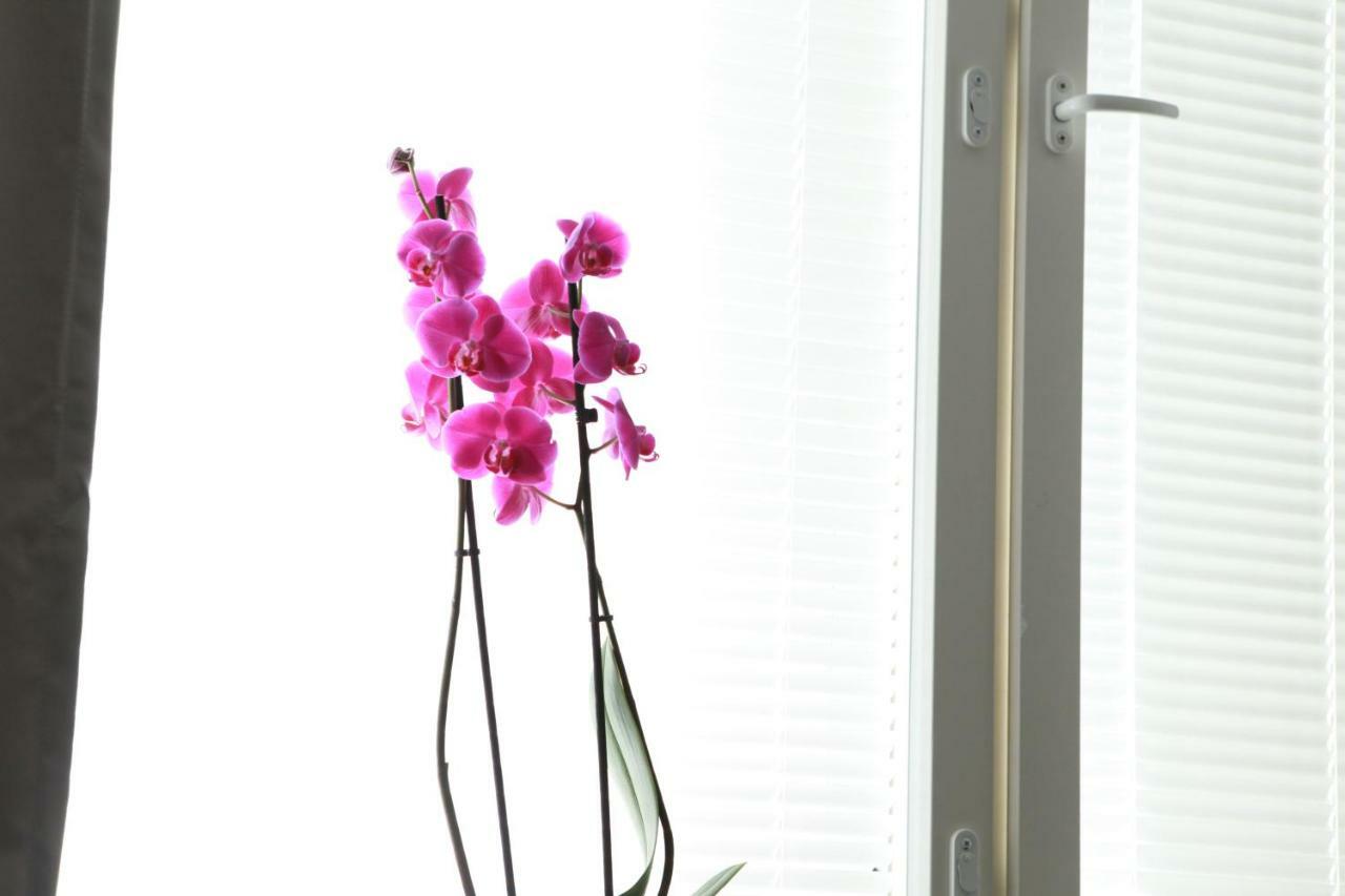 Studio Orchidea Helsinki Exterior foto